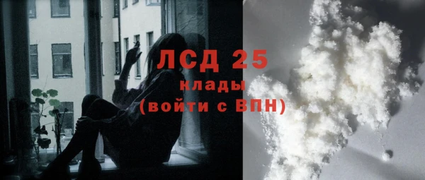 PSILOCYBIN Наволоки