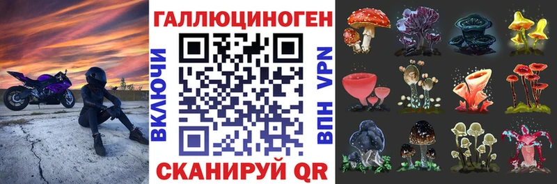 дарнет шоп  Лесозаводск  Псилоцибиновые грибы мицелий 