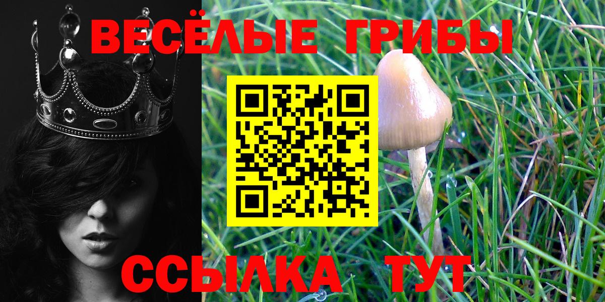 Псилоцибиновые грибы Magic Shrooms Лесозаводск