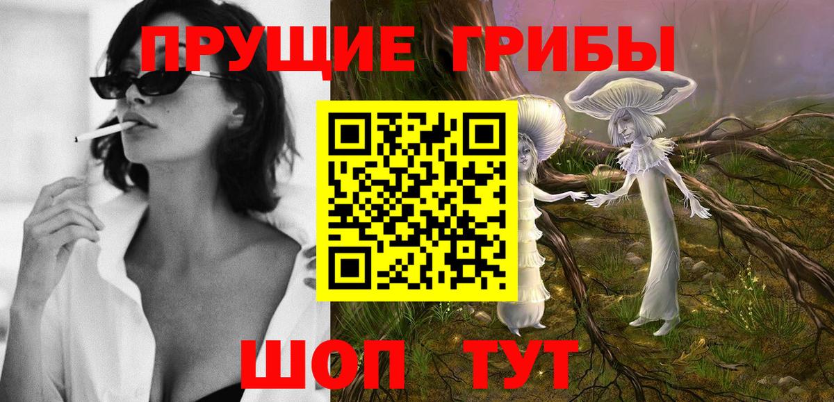 Псилоцибиновые грибы Psilocybe  Вход с VPN  Лесозаводск 