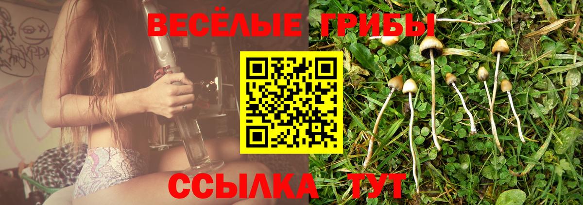 Галлюциногенные грибы MAGIC MUSHROOMS Лесозаводск