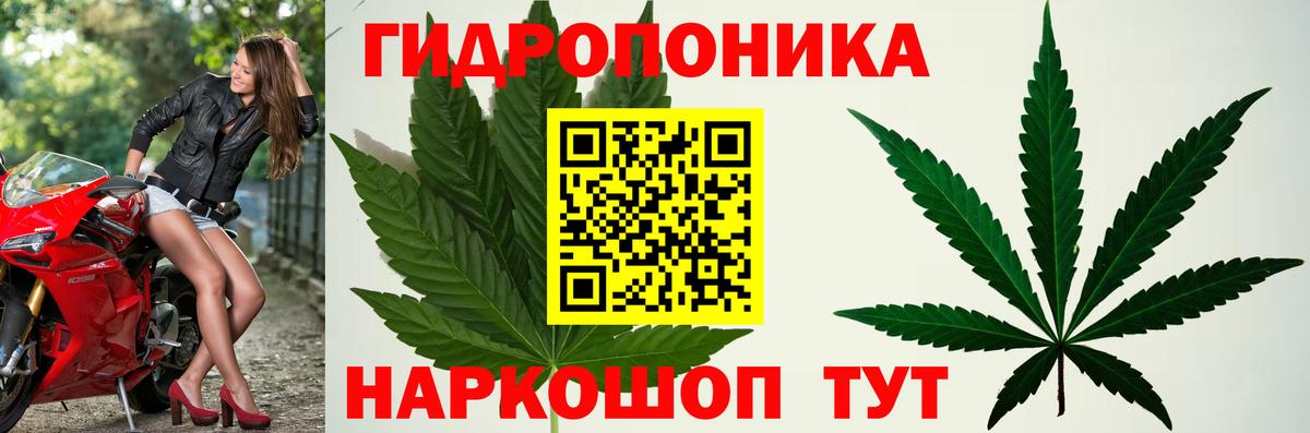 Лесозаводск  Конопля тримм  Вход с VPN  Каннабис AK-47  Конопля White Widow 